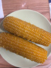 京東京造 東北黃糯玉米1.6kg（8根）東北玉米粗糧輕食減脂早餐代餐雜糧 曬單實(shí)拍圖