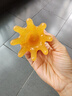 八爪魚(yú)頭部經(jīng)絡(luò )按摩梳樹(shù)脂小章魚(yú)梳頭皮穴位按摩器肩頸刮痧護理梳 大號章魚(yú)按摩梳【1個(gè)】 曬單實(shí)拍圖