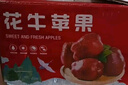于小乖甘肅天水花牛粉面蘋(píng)果嬰兒刮泥老人粉糯蛇蘋(píng)果(需放置粉面) 帶箱9.5斤大果（凈重8.5斤） 曬單實(shí)拍圖