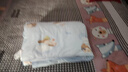 babycare兒童防踢被四季被寶寶睡袋秋冬幼兒園防踢被氣球小狗-100*160CM 曬單實(shí)拍圖