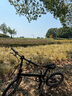 大行（DAHON）折疊自行車(chē)20英寸8級變速經(jīng)典P8單車(chē)KBC083 黑色經(jīng)典版-京倉 曬單實(shí)拍圖