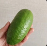 海南無(wú)籽香水檸檬新鮮水果檸檬無(wú)籽小青檸香水檸檬茶飲店專(zhuān)用 獨立包裝單果60-160g 9斤 曬單實(shí)拍圖