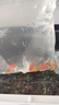孔雀魚(yú)天使魚(yú) 純種觀(guān)賞魚(yú)淡水好養熱帶小型觀(guān)賞魚(yú) 孔雀魚(yú)12條送備損3條【發(fā)15條】 曬單實(shí)拍圖