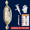 東大街豬腸衣可灌10斤肉灌香腸烤腸臘腸家用含灌腸器+線(xiàn)＋手套+教程 曬單實(shí)拍圖