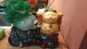 悟天白菜擺件招財貓自動(dòng)招手搖手客廳辦公室裝飾店鋪前臺喬遷開(kāi)業(yè)禮物 YX12寸發(fā)財致富翠玉31*17*29CM 曬單實(shí)拍圖