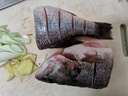 鮮活沖浪河鱸魚(yú)400-500g/條 曬單實(shí)拍圖