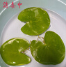 水培一葉蓮浮萍迷你水草凈化水質(zhì)魚(yú)缸造景睡蓮花水生水養花卉植物 一葉蓮 【1片裝】尺寸8-11厘米 曬單實(shí)拍圖