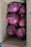 京鮮生 河南紫皮洋蔥帶皮 凈重5斤 單果300g+ 新鮮蔬菜源頭直發(fā) 曬單實(shí)拍圖