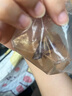 好養易活漂亮進(jìn)口寵物泰國斗魚(yú)活體觀(guān)賞魚(yú)淡水熱帶魚(yú)小型半月活魚(yú) 精品馬尾公1條 曬單實(shí)拍圖