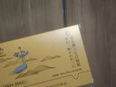 金七三七口服液降血壓金七制藥10ml*6支輔助降血壓保健食品增強免疫力 10ml*6支*5盒【降壓控壓更穩壓】贈金七牙膏 曬單實(shí)拍圖