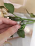 Grace Girl鉑金培育鉆石戒指女求婚結婚鉆戒紀念日情人節生日禮物送女友老婆 鉑金50分培育鉆石戒指 曬單實(shí)拍圖