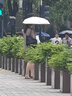 羅技（G）gpw二代無(wú)線(xiàn)鼠標游戲電競狗屁王二代gpw2金剛版人體工學(xué)輕量化機械充電雙模鼠標七夕節禮物送男友 GPW二代猛男粉 曬單實(shí)拍圖