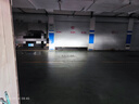 雪萊特G-pro汽車(chē)led大燈110W超亮強光聚光燈泡改裝車(chē)燈遠近一體燈泡H4 曬單實(shí)拍圖