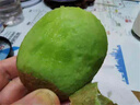 京鮮生 陜西徐香綠心獼猴桃 24粒單果90-110g 新鮮水果 源頭直發(fā) 曬單實(shí)拍圖