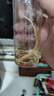 天使之顏玻色因人參抗皺精粹液玻尿酸原液精華液抗皺緊致精華提拉淡化細(xì)紋 【買(mǎi)1 送 1】專(zhuān)抹全臉皺紋 曬單實(shí)拍圖