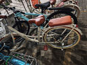 飛鴿（FLYING PIGEON）自行車(chē)成人通勤車(chē)自行車(chē)學(xué)生單車(chē)成人自行車(chē)通勤自行車(chē)女士自行車(chē) 高配奶油米|6速|(zhì)輻條輪+禮包 24寸適合150-170cm 曬單實(shí)拍圖