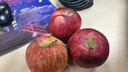 京鮮生 天水花牛蘋(píng)果 凈重4.5斤 單果170g+ 生鮮水果源頭直發(fā) 曬單實(shí)拍圖