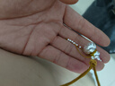 臻匯銀葫蘆吊墜足銀999福祿掛墜新中式情侶項鏈新中式首飾生日禮物女士 曬單實(shí)拍圖