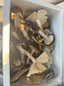 京鮮生 新鮮大雞樅菌500g 野生雞樅菌云南新鮮野生菌菇特產(chǎn) 源頭直發(fā) 曬單實(shí)拍圖
