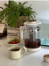 格麗思（GREENIS）煮茶壺養生壺 純鈦噴淋式加熱煮茶器一體式燒水壺蒸茶壺 辦公室蒸茶器茶水分離 電茶壺圍爐煮茶 椰奶白禮盒裝（純鈦壺底-單直筒茶漏） 曬單實(shí)拍圖