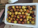 京鮮生山東沾化冬棗 凈重4.5斤 單果15g+ 新鮮水果清脆爽口源頭直發(fā)包郵 曬單實(shí)拍圖