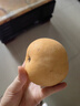 三萌果蔬山東秋月梨新鮮水果萊陽(yáng)冰糖梨當季新鮮水果中秋送禮送人整箱 5斤商超果【單果約350g+】?jì)糁?.5斤 曬單實(shí)拍圖