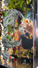 畫(huà)法幾何小米米家智能魚(yú)缸專(zhuān)用加熱棒自動(dòng)恒溫小米魚(yú)缸加熱棒50W 曬單實(shí)拍圖