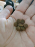 愛(ài)肯拿（ACANA）貓糧 牧場(chǎng)盛宴成貓幼貓糧 高蛋白無(wú)谷進(jìn)口雞肉糧5.4kg 效期26/6 曬單實(shí)拍圖