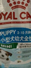皇家狗糧 幼犬狗糧 寵物 小型犬 MIJ31 全價(jià)犬糧 2-10月 2KG 曬單實(shí)拍圖