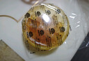 日本進(jìn)口 殺蠅餌劑3個(gè)裝呋蟲(chóng)胺滅蠅藥小飛蟲(chóng)克星果蠅誘捕器 曬單實(shí)拍圖