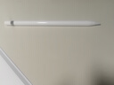 Apple/蘋(píng)果 Pencil(第一代) 帶USB-C轉換器 觸控筆手寫(xiě)筆蘋(píng)果筆電容筆 適用部分iPad 11/Pro/Air機型 曬單實(shí)拍圖