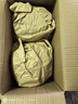 京地達山東綠甘藍 卷心菜 單棵500g 凈重4.5斤 源頭直發(fā)包郵 曬單實(shí)拍圖