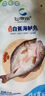 仙泉湖三去白蕉海鱸魚(yú)1斤/條凈膛冷凍刺少肉厚珠海特產(chǎn)500g生鮮中秋食材 曬單實(shí)拍圖