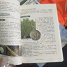 大自然識別叢書(shū)：植物的識別 曬單實(shí)拍圖