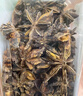 飲食派INSPIRATION SPICE大紅八角 158g罐裝 山姆定制款秋果大料八角茴香火鍋調料 調味品 曬單實(shí)拍圖