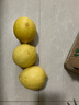 亨迅四川安岳新鮮黃檸檬水果生鮮 凈重1斤  實(shí)惠裝 （非獨立花袋） 曬單實(shí)拍圖
