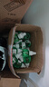 夢(mèng)貝爾電熱蚊香液滅蚊器家用無(wú)味驅蚊液體無(wú)香嬰兒孕婦電插式 電熱蚊香液30瓶(無(wú)加熱器) 曬單實(shí)拍圖