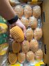 佳沛（zespri）新西蘭  陽光金果18粒原箱單果重173-204g 獼猴桃 中秋水果禮盒 曬單實(shí)拍圖