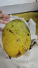 顧果鮮攀枝花凱特芒果9斤當季新鮮熱帶水果大芒果青皮芒現摘整箱 9斤 精選特大果 曬單實(shí)拍圖