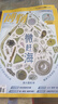 博物雜志 青少年科普百科知識 兒童科普大百科期刊 中小學(xué)生通識教育課外閱讀 中國國家地理青春版雜志鋪單本/半年/全年訂閱2024/2025年1月-6月/7月-12月任選非過(guò)刊博物君張辰亮 【現貨】博物 曬單實(shí)拍圖