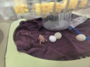 Jusenda全自動(dòng)智能家用孵蛋器溫濕雙控孵化雞蛋鳥(niǎo)蛋鸚鵡鴿子鵪鶉蛋孵化器 12H枚款【自動(dòng)翻蛋/溫濕雙控】 曬單實(shí)拍圖