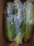 京鮮生云南水果玉米5斤 鮮甜玉米棒 甜脆多汁 新鮮蔬菜 源頭直發(fā)包郵 曬單實(shí)拍圖