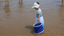 漫生活趕海工具套裝沙灘挖沙玩具鐵鍬鋤頭水桶鏟子夾子耙挖土種菜6件套 曬單實(shí)拍圖