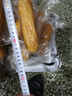 東北黃糯玉米 早餐主食代餐粘苞米棒 單棒均重180g加熱即食一整箱 黃糯180g*10棒 曬單實(shí)拍圖