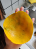 京覓四川攀枝花凱特芒新鮮芒果4.5斤裝單果400g+源頭直發(fā)包郵 曬單實(shí)拍圖