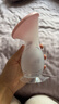 十月結晶 手動(dòng)集奶器母乳集乳器接奶神器吸奶母乳收集器擠奶器 升級款集乳器1個(gè)裝 曬單實(shí)拍圖