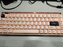 MelGeekMADE68 PRO+磁軸鍵盤(pán)TTC萬(wàn)磁王紫心軸RT0.01電競游戲客制化機械無(wú)畏契約打瓦小蜜蜂情侶 MADE68 PRO+粉光【紫心軸】 有線(xiàn)MelGeek 68鍵 曬單實(shí)拍圖