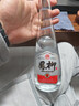 柳林白酒 鳳柳光瓶 鳳香型 白酒綿柔口感糧食酒 鳳柳酒 52度 500mL 1瓶 鳳柳光瓶 曬單實(shí)拍圖