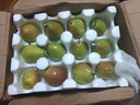 新疆紅香酥梨10斤當季現摘正宗脆甜梨子酥梨香梨孕婦新鮮水果整箱 凈重9斤【大果香梨】特級裝 曬單實(shí)拍圖