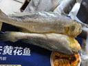 黃小漁寧德三去黃花魚(yú)600g/4條大黃魚(yú)生鮮海鮮水產(chǎn)深海魚(yú)類(lèi)燒烤食材中秋 曬單實(shí)拍圖